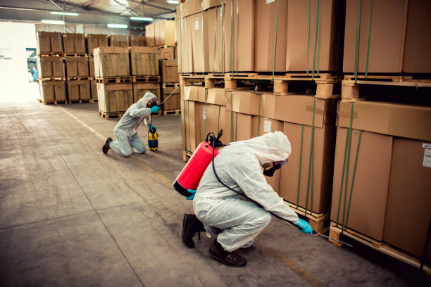 Best Affordable Pest Control Services  in Banning, CA
