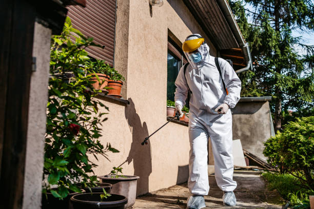 Best Bed Bug Extermination  in Banning, CA