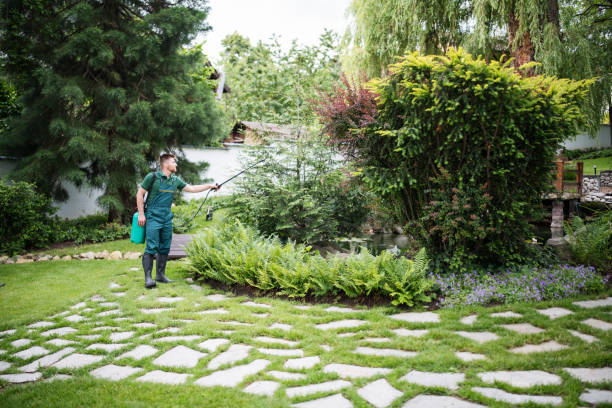 Best Local Pest Control Services  in Banning, CA