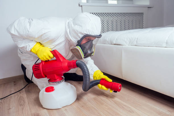 Trusted Banning, CA Pest Control Experts