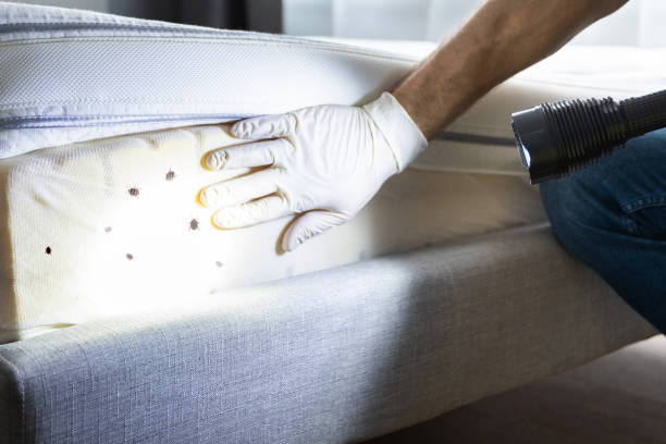Best Commercial Pest Control Services  in Banning, CA
