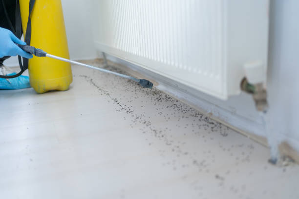 Best Pest Prevention Services  in Banning, CA