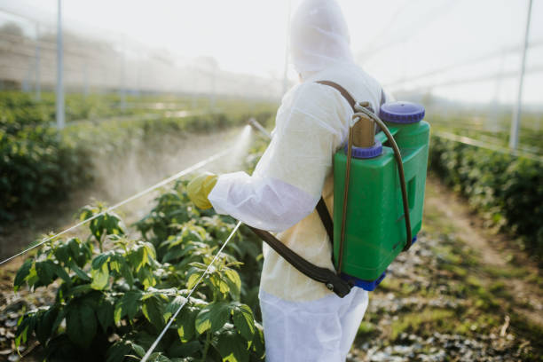 Best Best Pest Control Companies  in Banning, CA